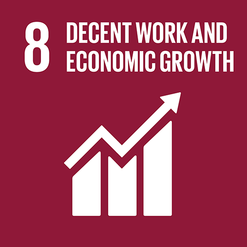 8. Promote inclusive and sustainable economic growth, employment and decent work for all